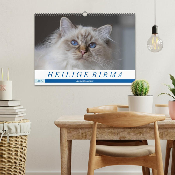 Heilige Birma Katzenkalender (CALVENDO Wandkalender 2027)