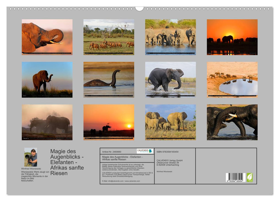 Magie des Augenblicks - Elefanten - Afrikas sanfte Riesen (CALVENDO Wandkalender 2027)
