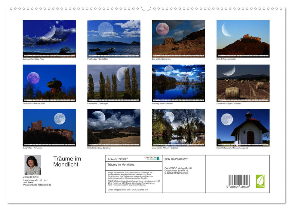 Träume im Mondlicht (CALVENDO Premium Wandkalender 2027)