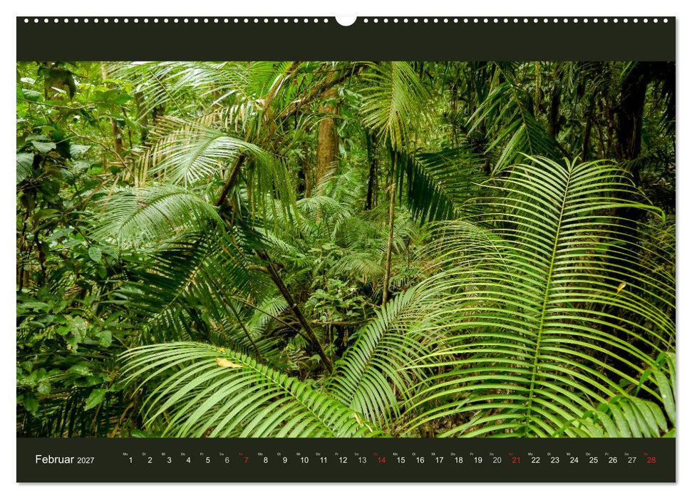 Australien - Farbige Vielfalt (CALVENDO Premium Wandkalender 2027)