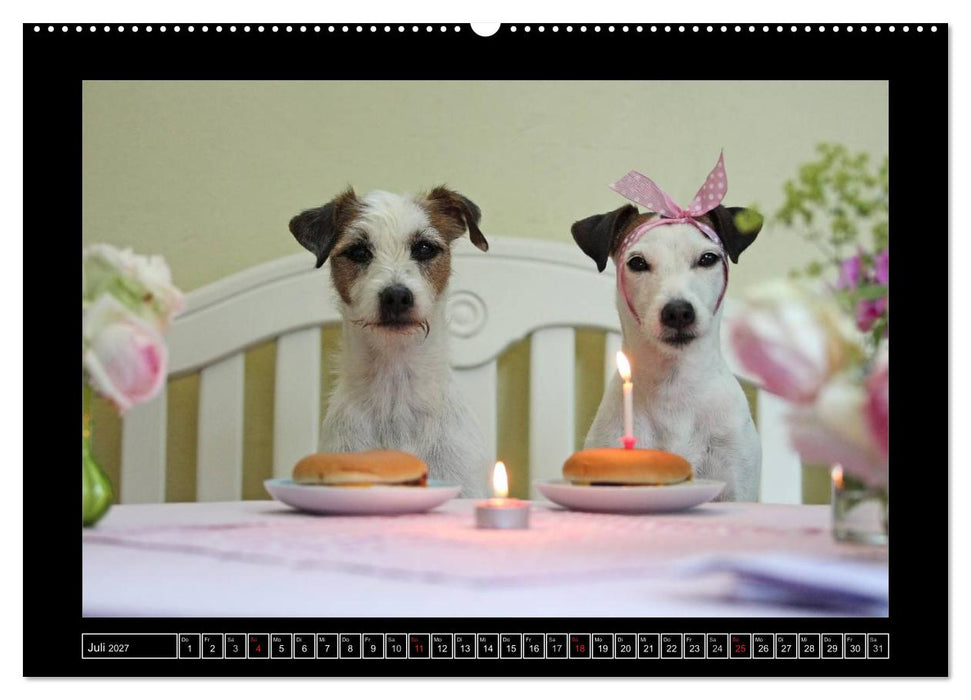 Parson Russell Terrier (CALVENDO Premium Wandkalender 2027)