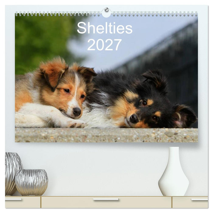 Shelties 2027 (CALVENDO Premium Wandkalender 2027)