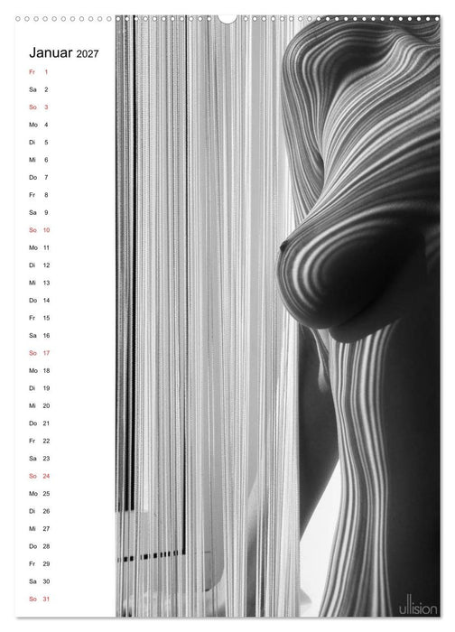Akt abstrakt (CALVENDO Premium Wandkalender 2027)
