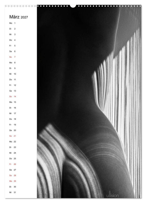 Akt abstrakt (CALVENDO Premium Wandkalender 2027)
