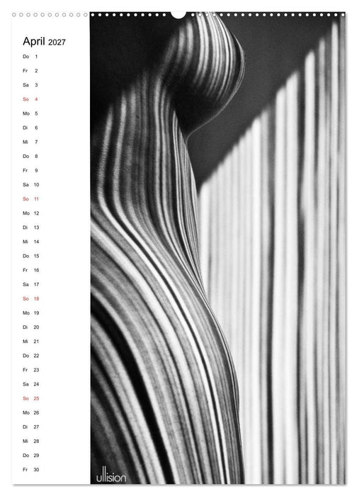 Akt abstrakt (CALVENDO Premium Wandkalender 2027)