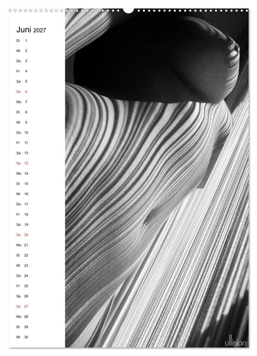 Akt abstrakt (CALVENDO Premium Wandkalender 2027)
