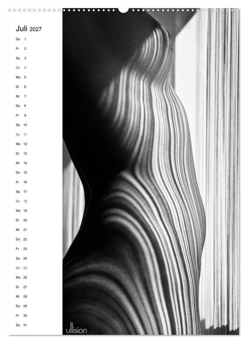 Akt abstrakt (CALVENDO Premium Wandkalender 2027)