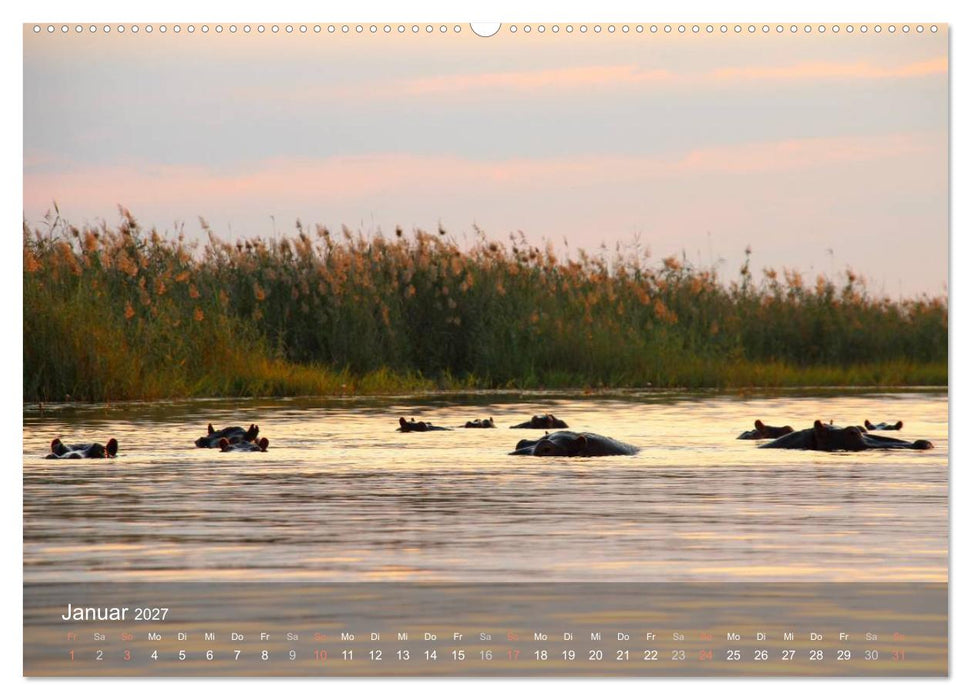 Botswana Wildlife (CALVENDO Wandkalender 2027)