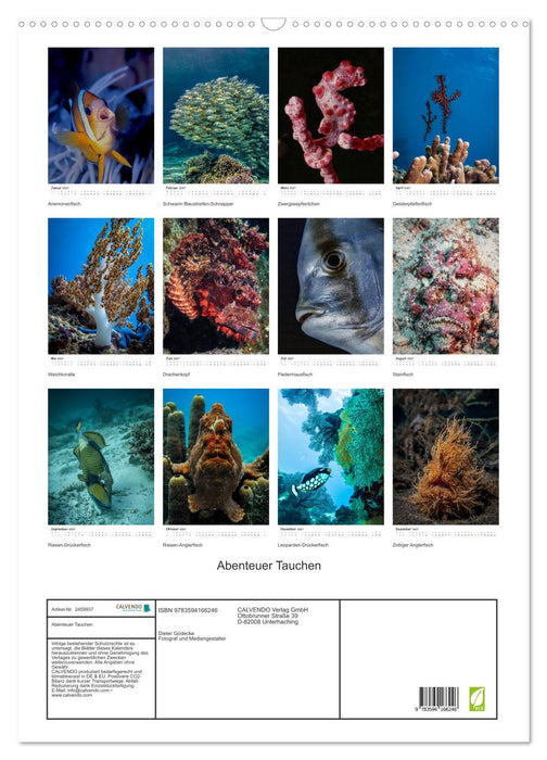 Abenteuer Tauchen (CALVENDO Wandkalender 2027)