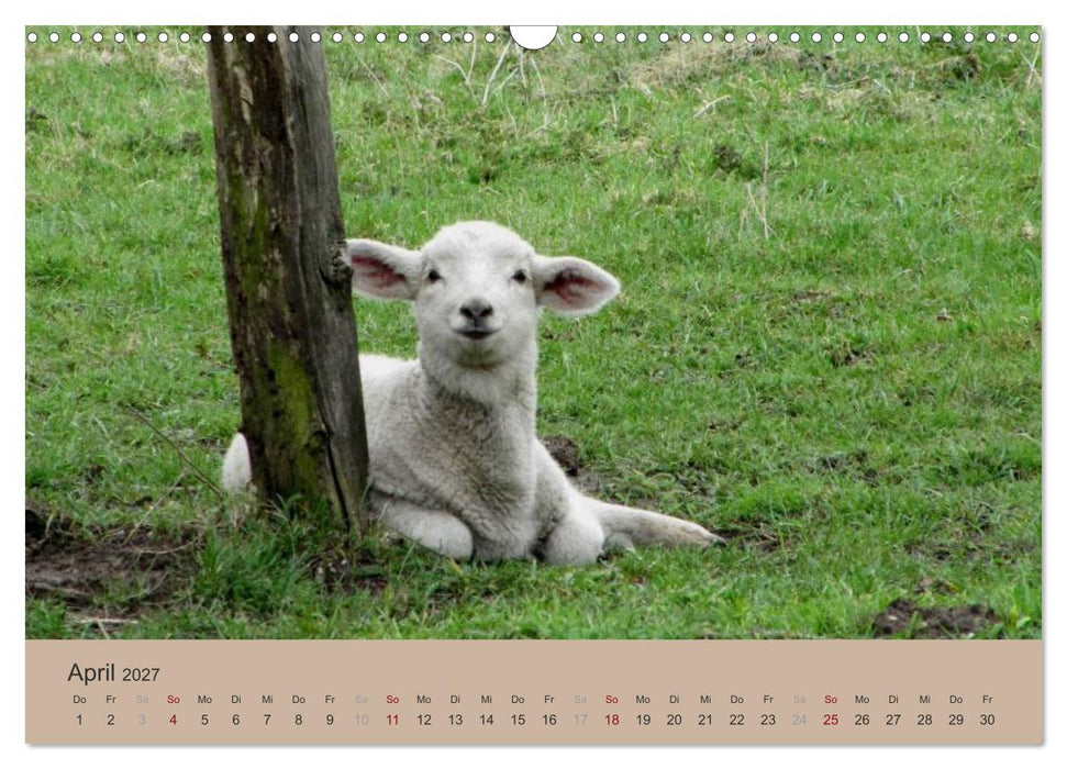 Krefelder Landschaften (CALVENDO Wandkalender 2027)