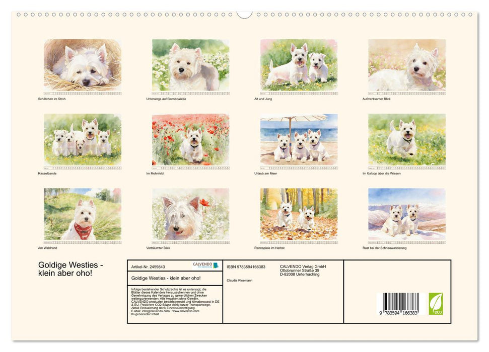 Goldige Westies - klein aber oho! (CALVENDO Premium Wandkalender 2027)
