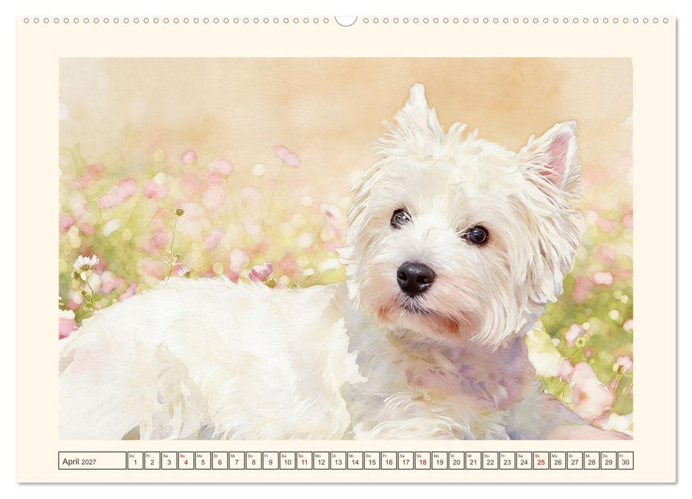 Goldige Westies - klein aber oho! (CALVENDO Premium Wandkalender 2027)