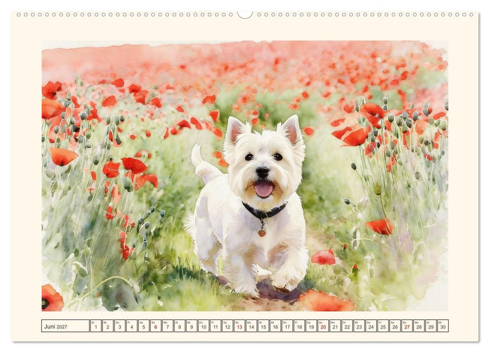 Goldige Westies - klein aber oho! (CALVENDO Premium Wandkalender 2027)