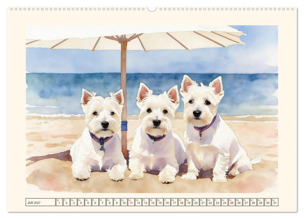 Goldige Westies - klein aber oho! (CALVENDO Premium Wandkalender 2027)