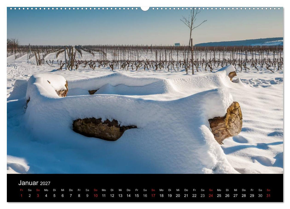 Ingelheim und Umgebung (CALVENDO Wandkalender 2027)
