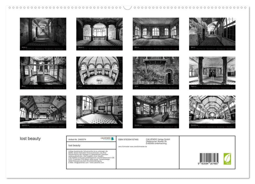 lost beauty (CALVENDO Premium Wandkalender 2027)