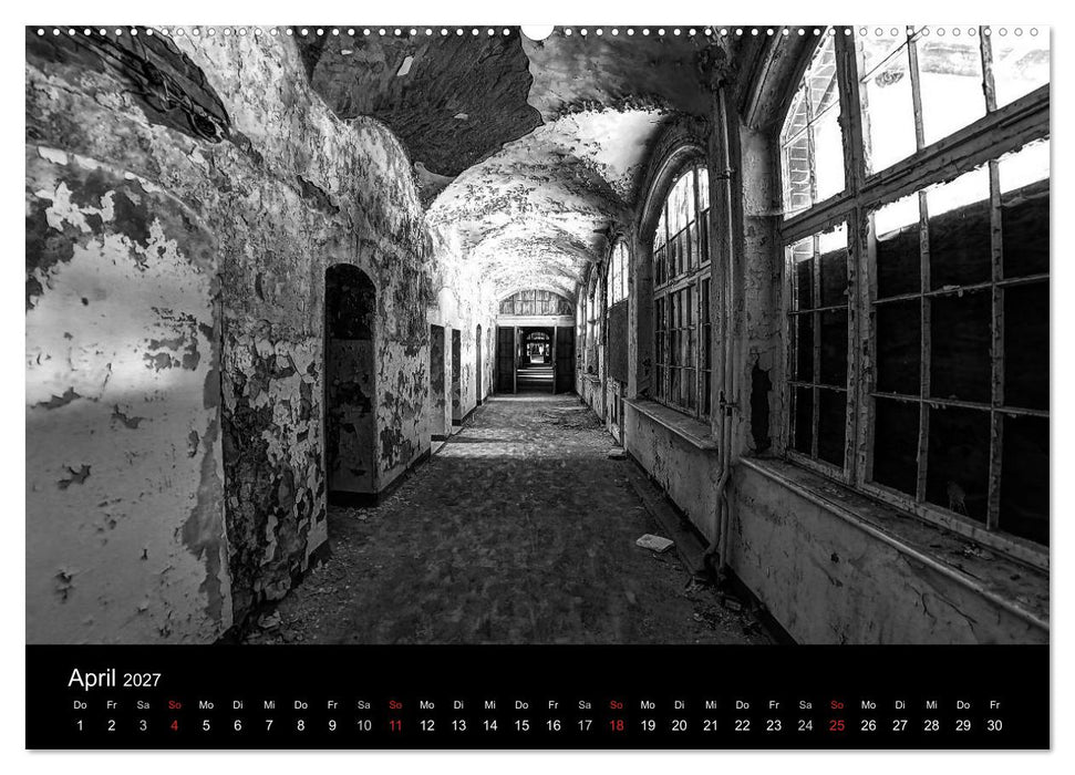 lost beauty (CALVENDO Premium Wandkalender 2027)