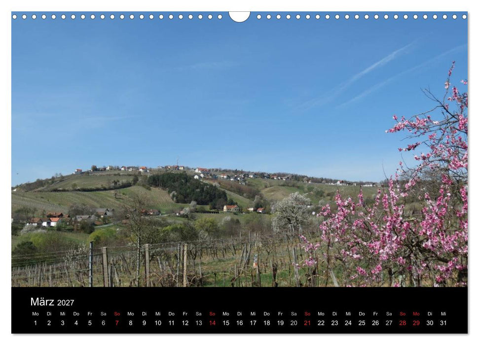 Weinidylle im Südburgenland (CALVENDO Wandkalender 2027)