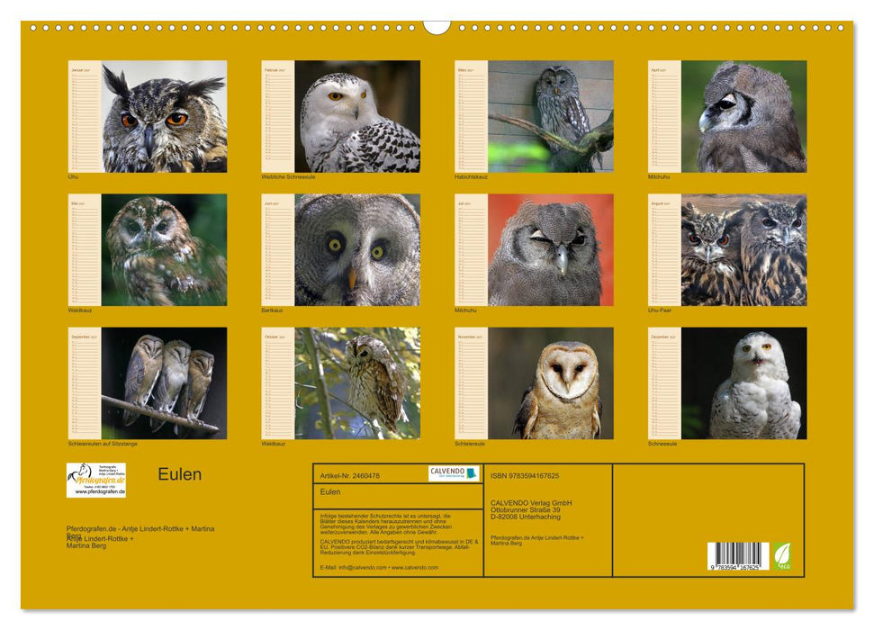 Eulen (CALVENDO Wandkalender 2027)