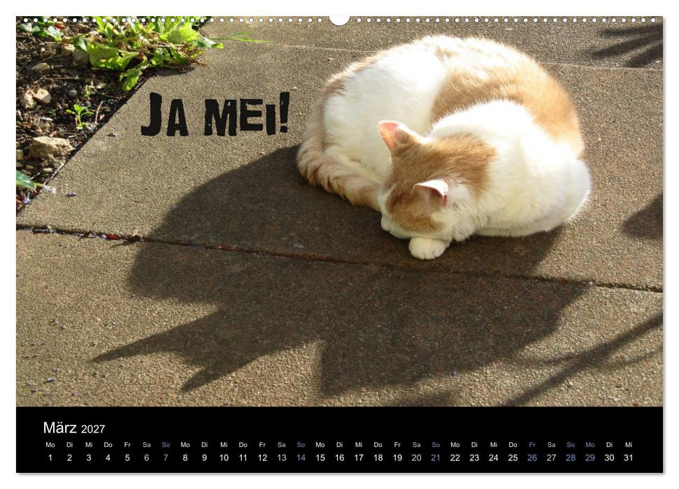 Baierische Lebensweisheiten (CALVENDO Wandkalender 2027)