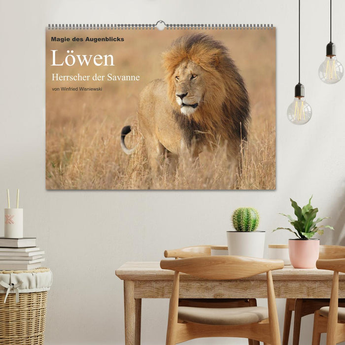 Magie des Augenblicks - Löwen - Herrscher der Savanne (CALVENDO Wandkalender 2027)