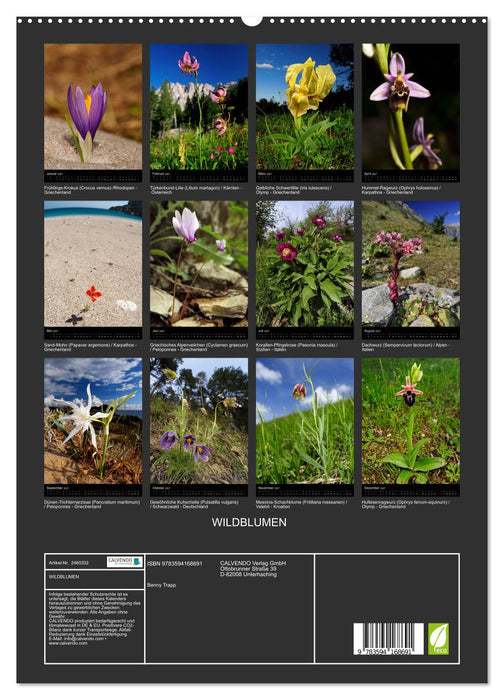 WILDBLUMEN (CALVENDO Premium Wandkalender 2027)