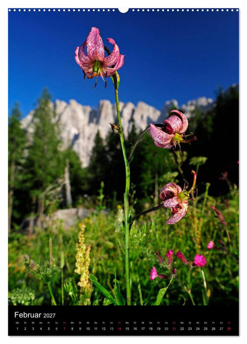 WILDBLUMEN (CALVENDO Premium Wandkalender 2027)