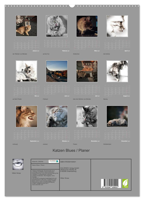 Katzen Blues / Planer (CALVENDO Premium Wandkalender 2027)