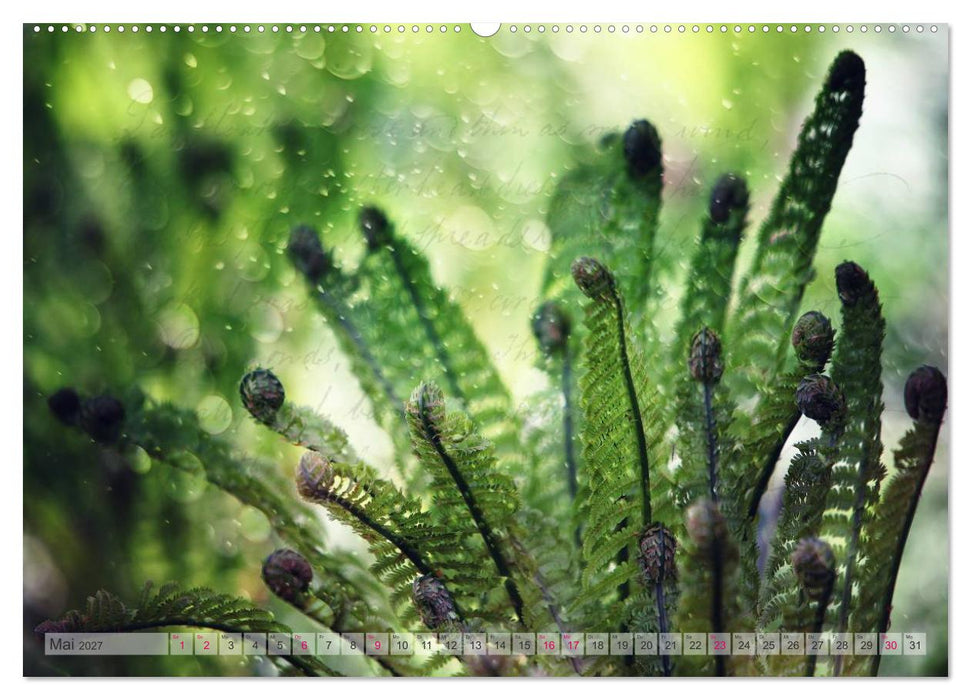 Vintage Nature - Romantische Naturaufnahmen (CALVENDO Premium Wandkalender 2027)