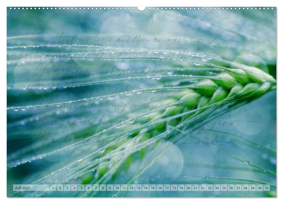 Vintage Nature - Romantische Naturaufnahmen (CALVENDO Premium Wandkalender 2027)