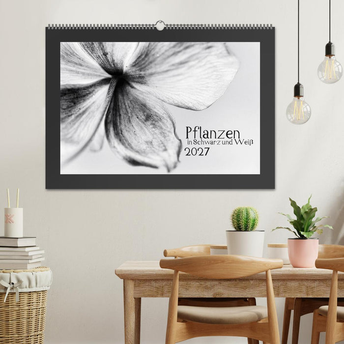 Pflanzen in Schwarz und Weiß (CALVENDO Wandkalender 2027)