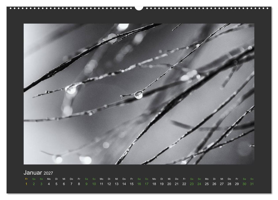 Pflanzen in Schwarz und Weiß (CALVENDO Wandkalender 2027)