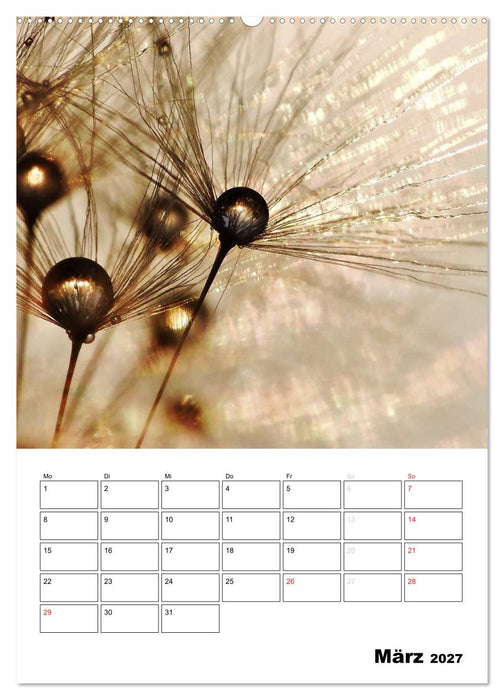 Pusteblumentraum - Dreams of Dandelion (CALVENDO Wandkalender 2027)