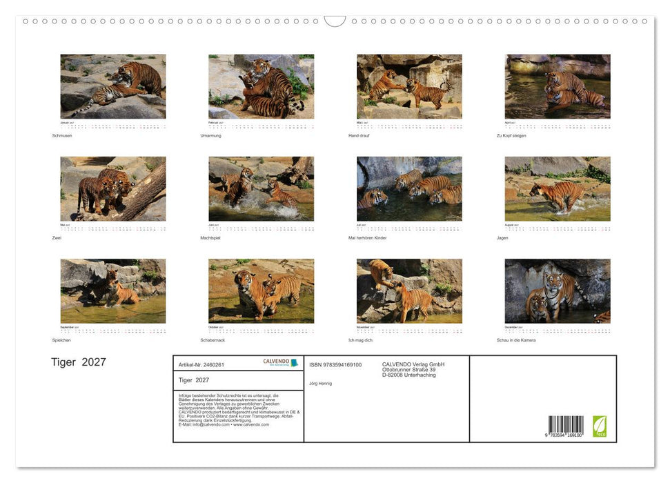 Tiger 2027 (CALVENDO Wandkalender 2027)