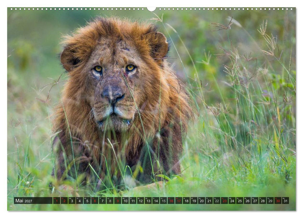Kenia 2027 (CALVENDO Premium Wandkalender 2027)