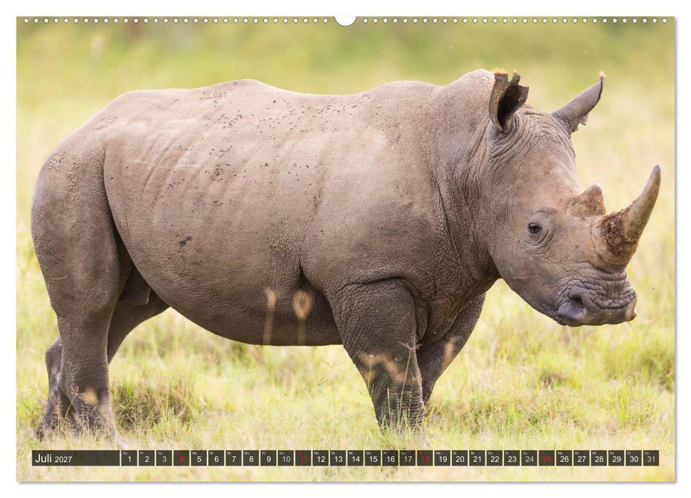 Kenia 2027 (CALVENDO Premium Wandkalender 2027)