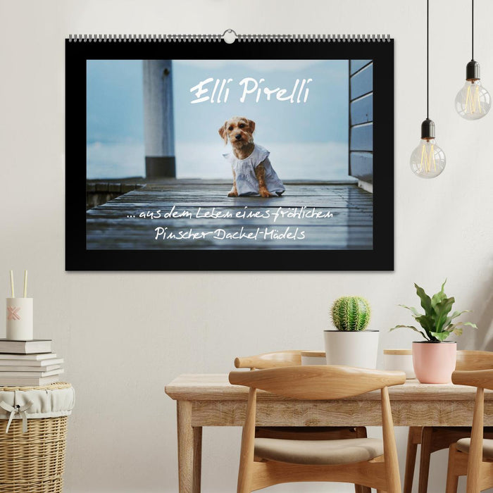 Elli Pirelli... aus dem Leben eines fröhlichen Pinscher-Dackel-Mädels (CALVENDO Wandkalender 2027)