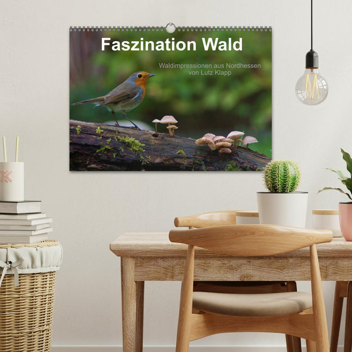 Faszination Wald. Waldimpressionen aus Nordhessen von Lutz Klapp (CALVENDO Wandkalender 2027)