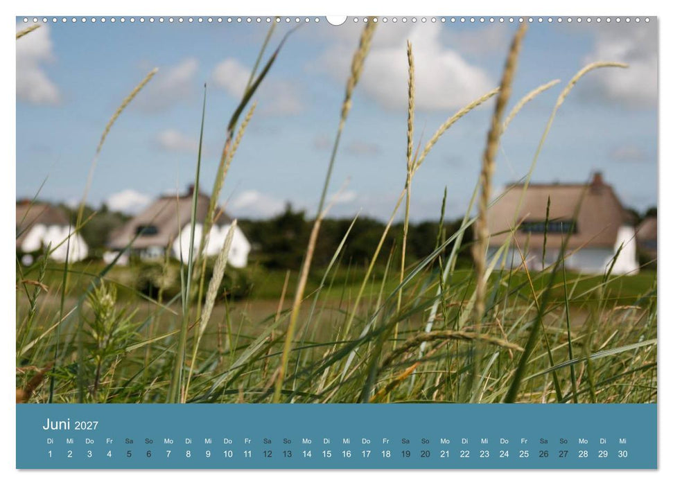 Föhr 2027. Porträt einer Insel (CALVENDO Wandkalender 2027)