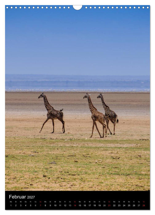 Wildes Afrika (CALVENDO Wandkalender 2027)