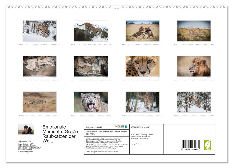 Emotionale Momente: Große Raubkatzen der Welt. (CALVENDO Premium Wandkalender 2027)