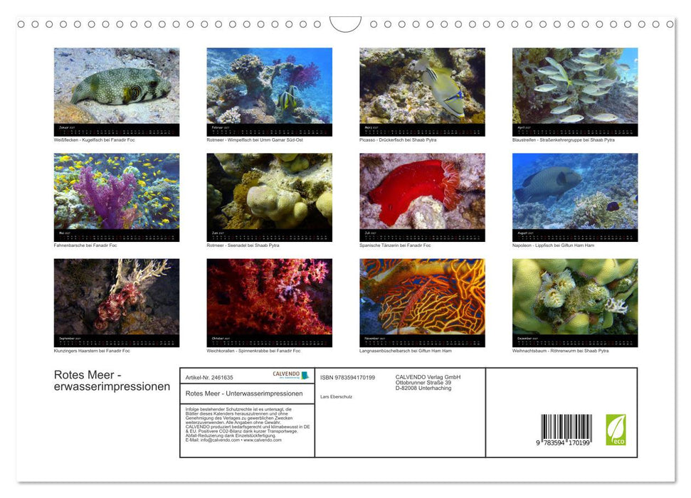 Rotes Meer - Unterwasserimpressionen (CALVENDO Wandkalender 2027)