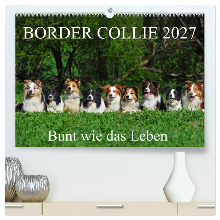 Border Collie 2027 (CALVENDO Premium Wandkalender 2027)
