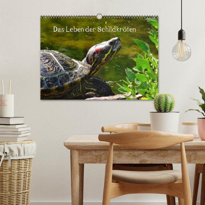 Das Leben der Schildkröten (CALVENDO Wandkalender 2027)