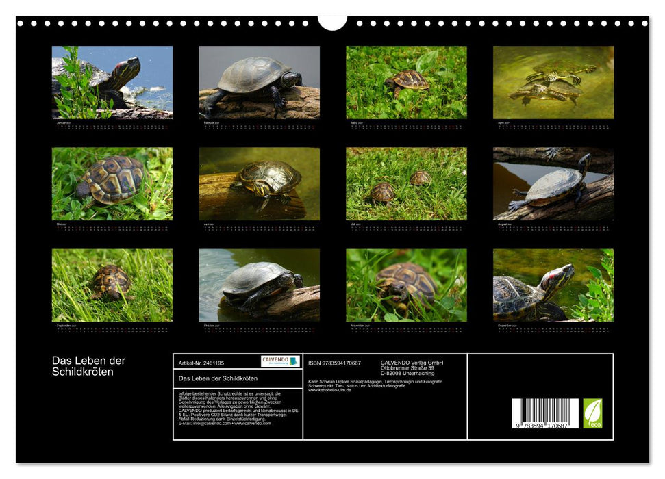 Das Leben der Schildkröten (CALVENDO Wandkalender 2027)