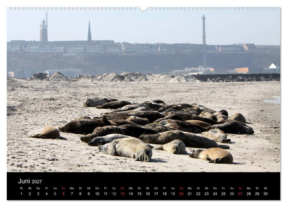 Helgoland (CALVENDO Premium Wandkalender 2027)