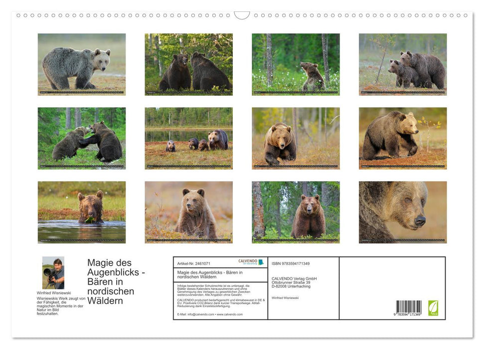 Magie des Augenblicks - Bären in nordischen Wäldern (CALVENDO Wandkalender 2027)