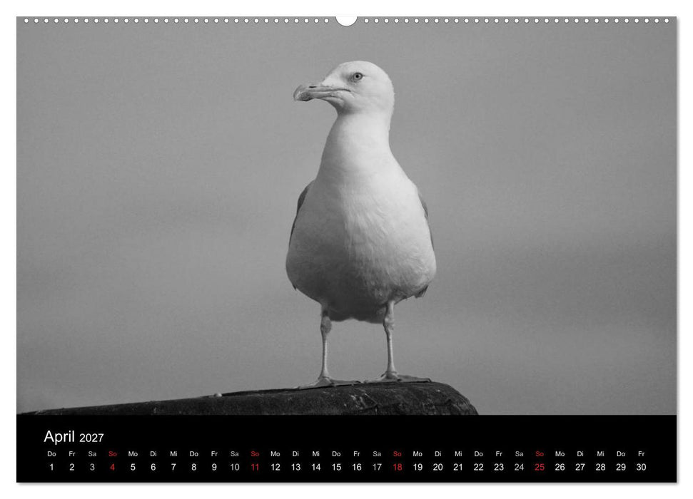 Willkommen in Cuxhaven (CALVENDO Wandkalender 2027)