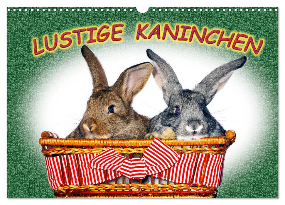 Lustige Kaninchen (CALVENDO Wandkalender 2027)