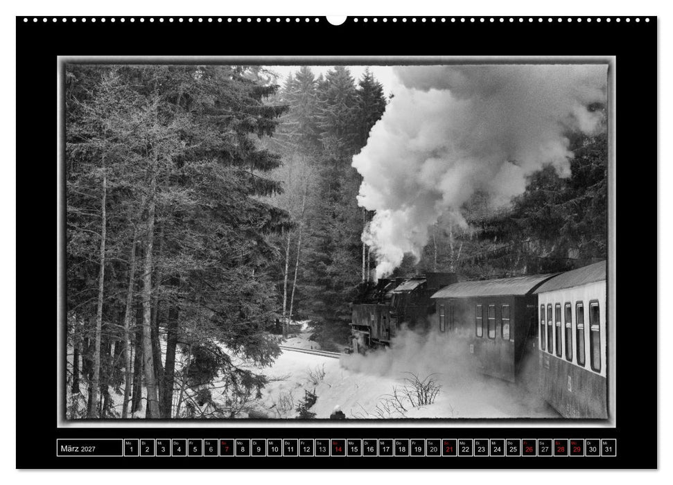 Unter Dampf - Eisenbahnromantik im Harz (CALVENDO Wandkalender 2027)